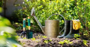 Motivos para contratar uma empresa de manutenção de jardins